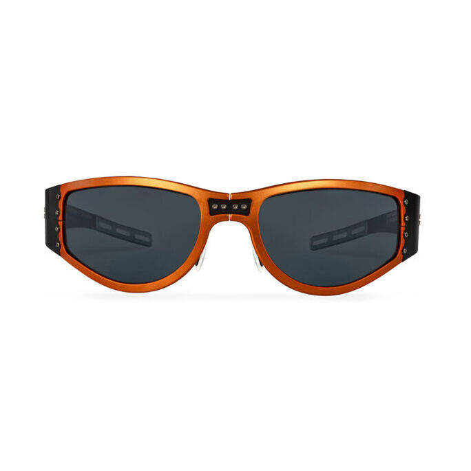 Gotthard - die Premium Helmbrille